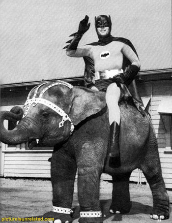 BatmanElephant