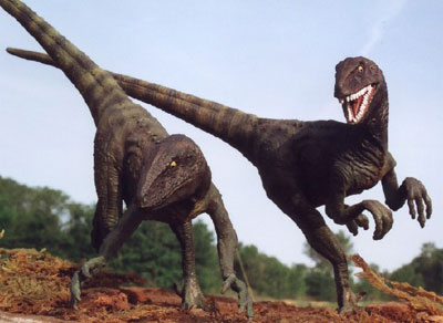 Raptors